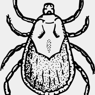 TICK Thumbnail