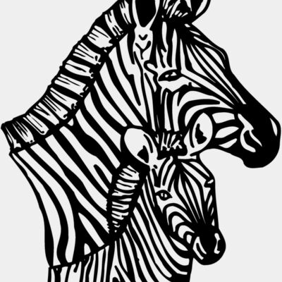ZEBRA002 Thumbnail