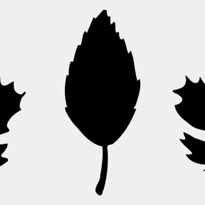 LEAF001 Thumbnail