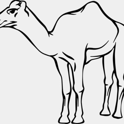 Camel   Clipart 2 Thumbnail