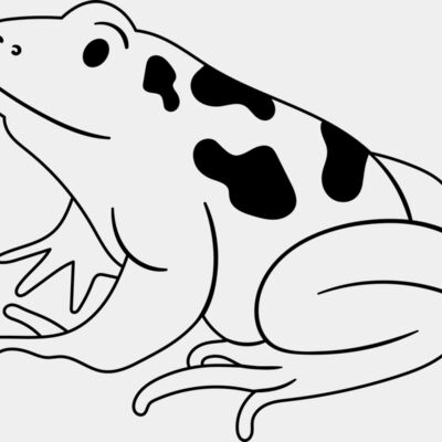 Frog   Clipart 1 Thumbnail