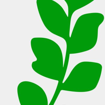 Leaves Thumbnail