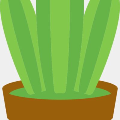 Cactus 1 Thumbnail